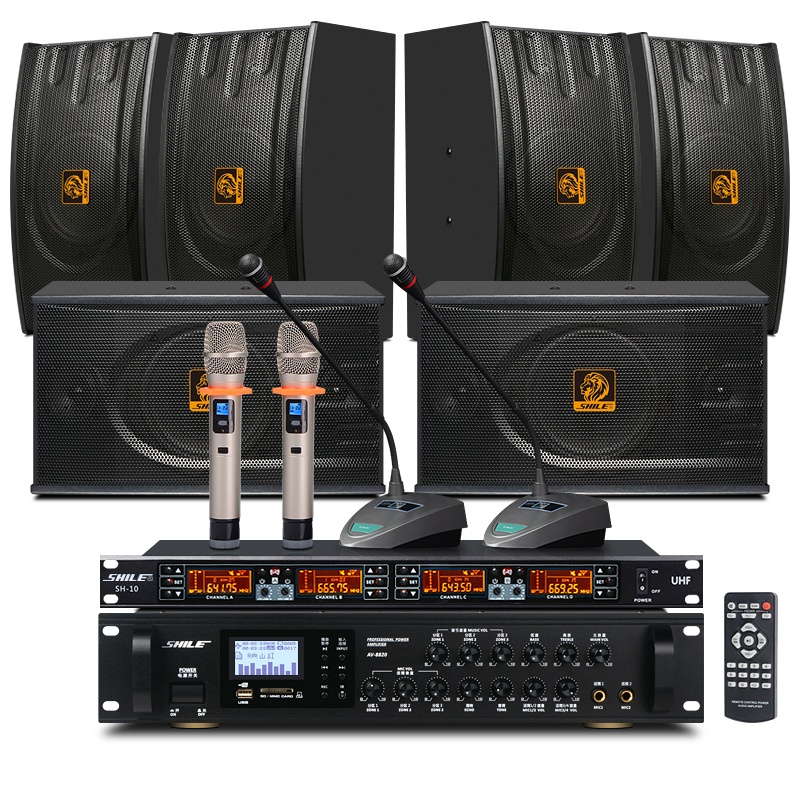 狮乐会议室音响组合套装(功放+壁挂音箱)专业会议背景音乐音响系统可选无线话筒套餐 8820+118黑*6+10话筒