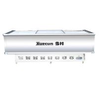 雪村(Xuecun)SD/SC-2000 岛柜 商用冷柜 冰柜 冷藏冷冻柜 商用展示柜 肉食海鲜柜 推拉门