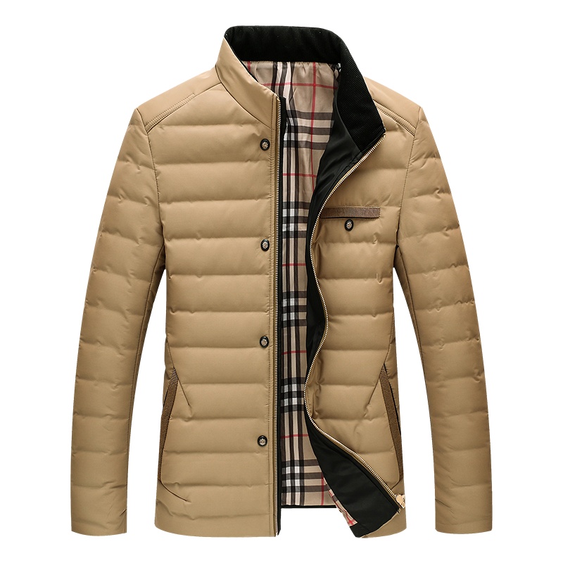 迪伽默 立领羽绒服男士简约休闲90白鸭绒