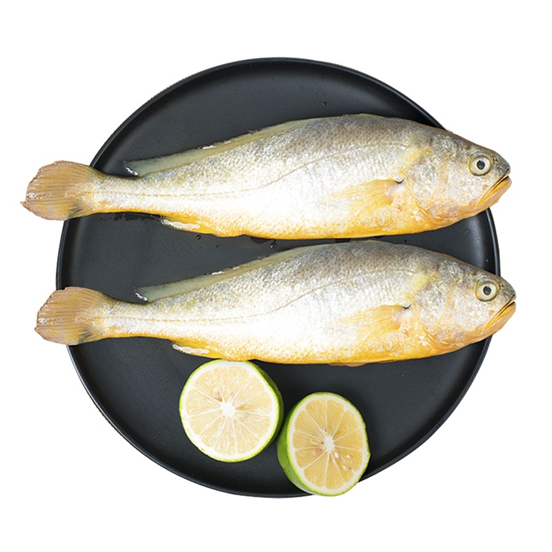 味尔佳 大黄鱼 新鲜冷冻宁德黄花鱼 鲜活黄鱼活冻海鱼海鲜 鲜冻黄花鱼 袋装500g