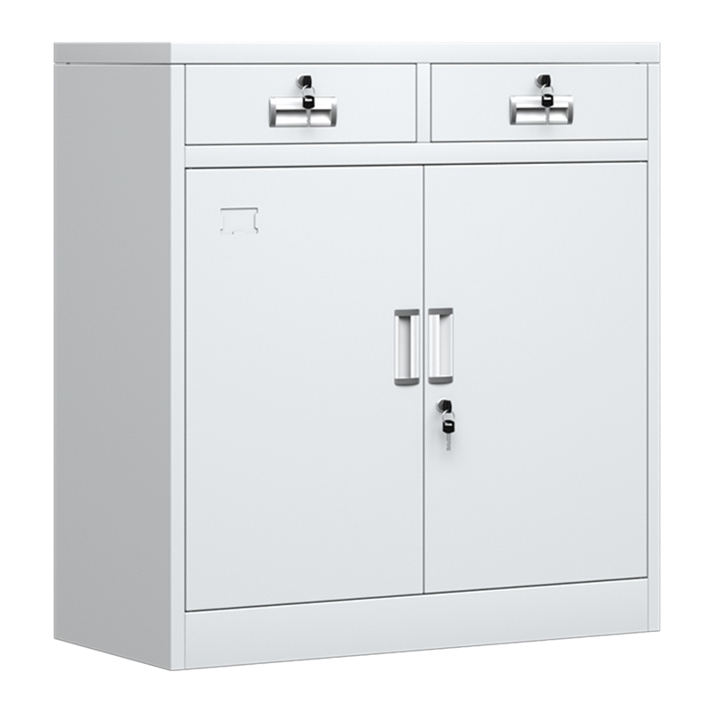 永格铁皮柜文件柜资料柜档案柜凭证柜办公室书柜矮柜储物柜带锁收纳柜