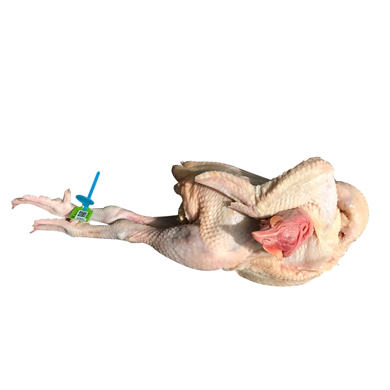 [土度高端系列]老母鸡约2.5斤[送一盒价值72元散养鸡蛋(30个装)] 肉质紧实 香味浓 宜煲汤1259 整鸡 鸡肉