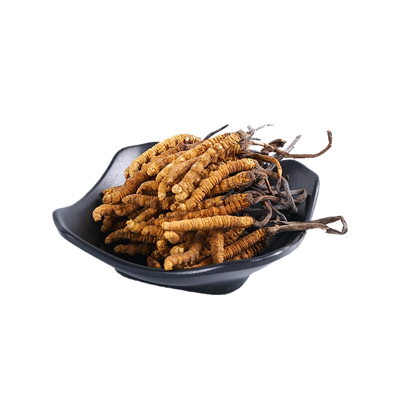 群安堂冬虫夏草2根/克