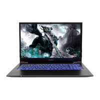 炫龙(Shinelon)DD3PLUS 16.1英寸游戏吃鸡学生笔记本电脑(桌面i5-9400 8G 512GB GTX1650)