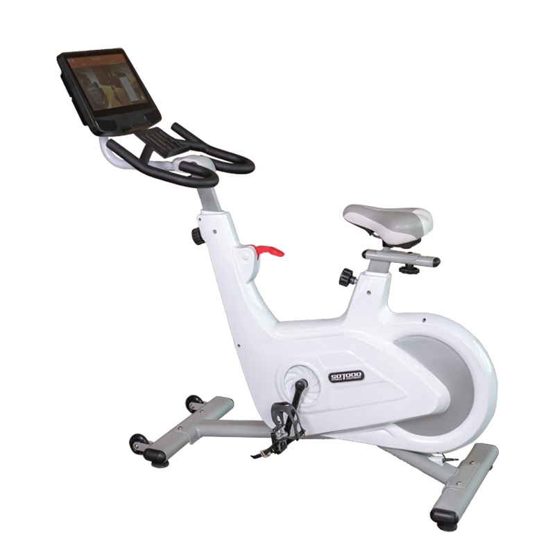 享动(SOTODO) GHN-780动感单车家用双向磁控飞轮减肥健身车室内运动减肥器