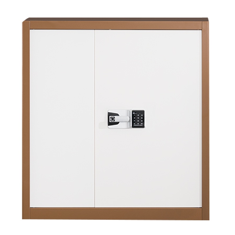 [一鹏]保密柜 指纹锁加厚文件柜 单节二斗储物柜 铁皮柜资料档案柜