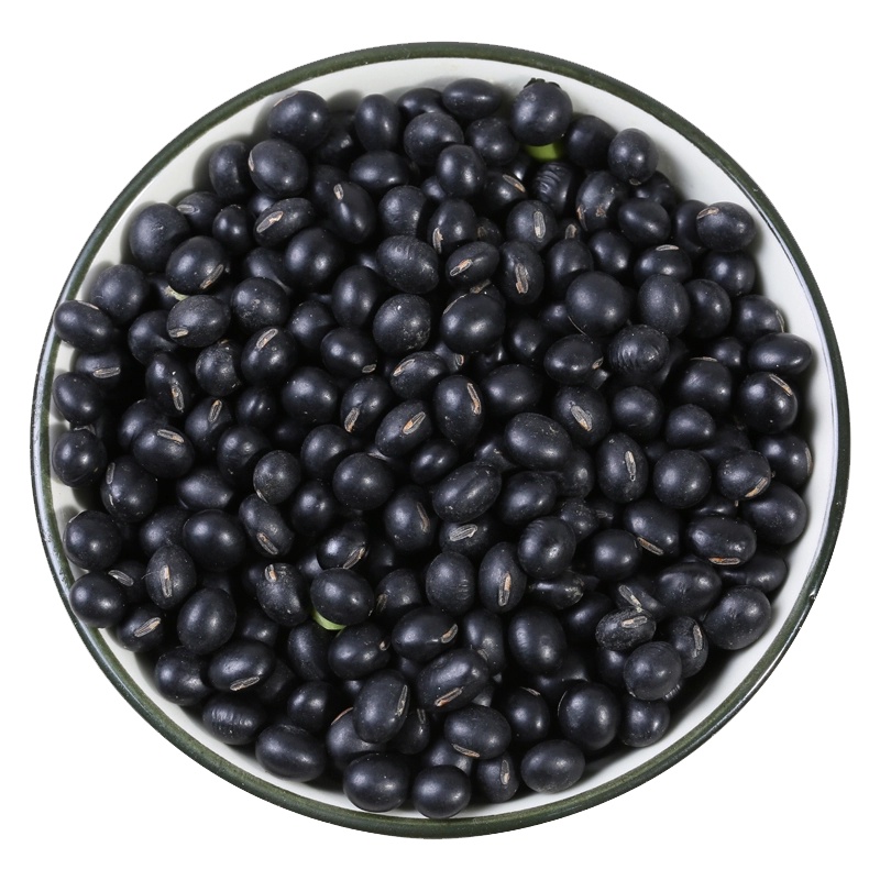 绿农晓镇 东北农家绿芯黑豆 500g 豆浆原料 可发芽 五谷杂粮 东北黑豆