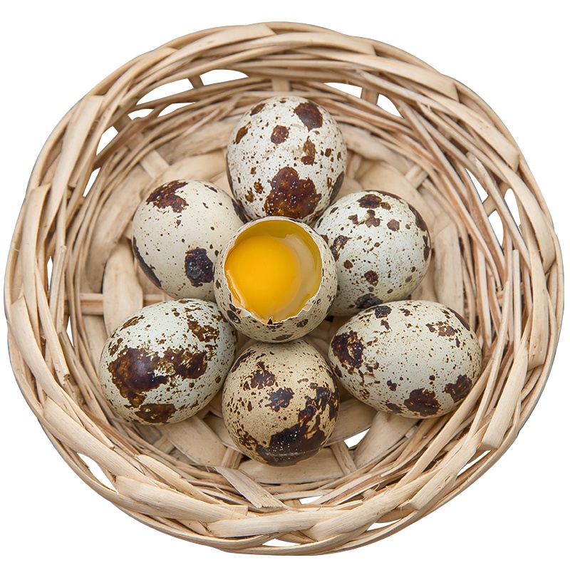 新鲜生鹌鹑蛋50枚 鹑鸟蛋 生鲜蛋 破损包赔