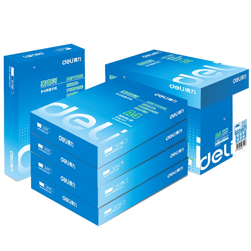 自营 新品 得力(deli)莱茵河5包装80gA4复印纸 500张/包 整箱2500张