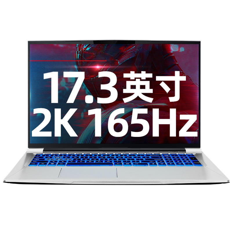 MACHENIKE机械师战空F117-FP 17.3英寸吃鸡发烧游戏本笔记本电脑轻薄本独显全面屏(八核i7-10870H RTX3060 16G内存 1TB固态 2K 165Hz)