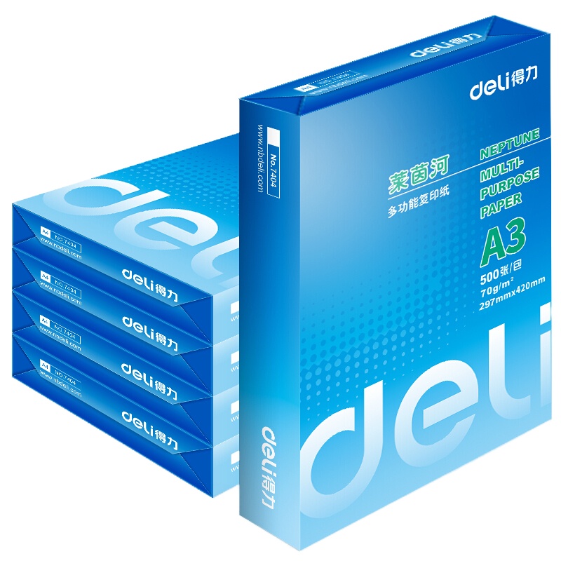 得力（deli）莱茵河 70g A3 复印纸 中高档打印纸 500张/包 5包1箱 7406