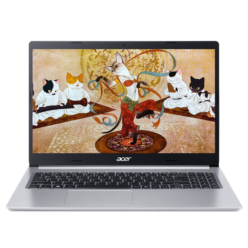 宏碁(acer)传奇Young 15.6英寸 锐龙5六核 网课办公 高性能轻薄本 笔记本电脑(R5-5500U 16G 512GSSD)