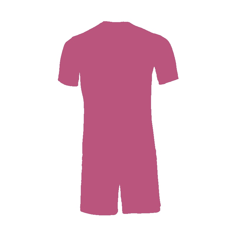 李宁 组队套装AATL103-3 荧光果粉/浊普蓝