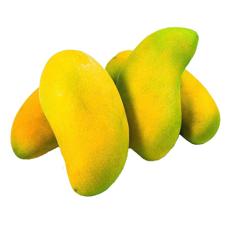 雉鲜生 广西百色小台农芒果 10个装 单果50g起 新鲜水果 鸡蛋芒给