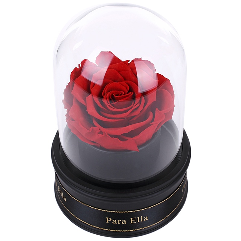 Para Ella 011系列进口玫瑰花永生花[旋转音乐礼盒]鲜花速递国庆节重阳元旦情人节生日纪念日礼物送老婆女生闺蜜