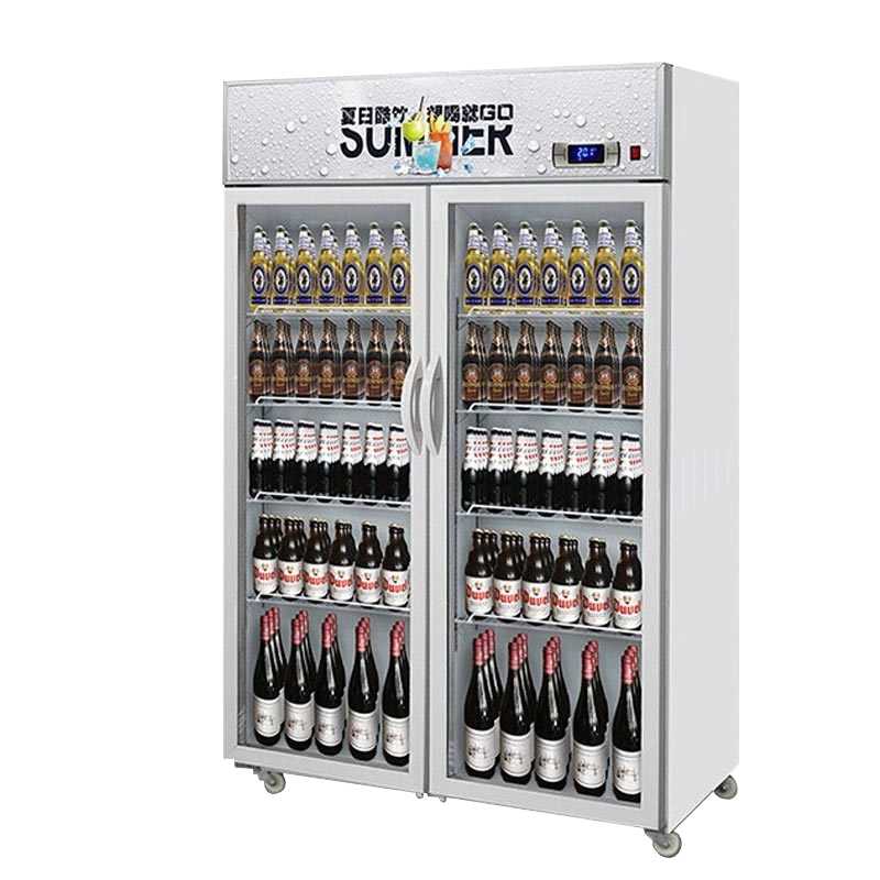 乐创(lecon) 饮料柜展示柜冷藏柜立式冰柜商用冰箱饮品啤酒蔬菜水果保鲜冷柜鲜花柜陈列柜 双门直冷上机组普通门星光银