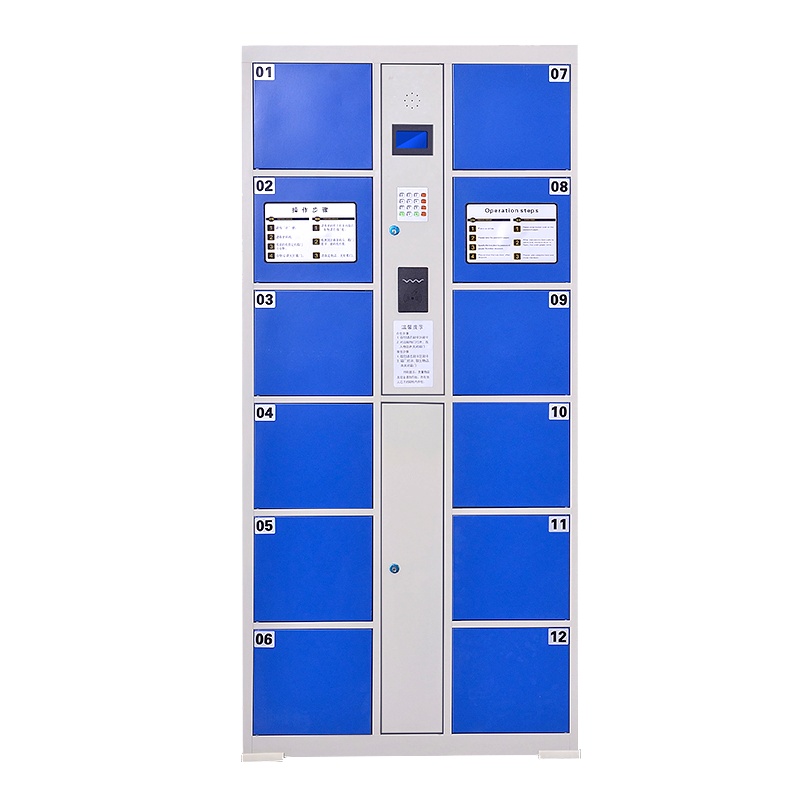 臻远工厂车间电子存包柜智能储物柜寄存柜刷卡条码自编投币型储物柜 12门刷卡款