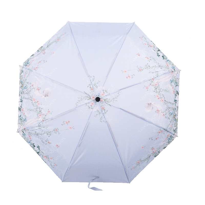 海螺晴雨伞春卉BL0189