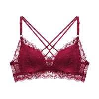 都市丽人性感蕾丝繁花刺绣无钢圈魅惑情趣女士文胸胸罩内衣2B8602
