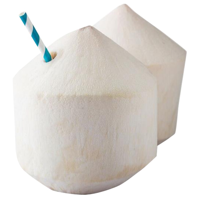 迪士尼泰国椰青 6个