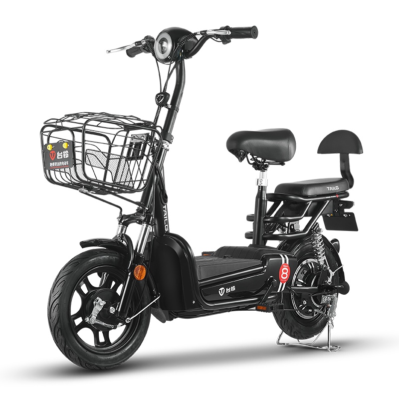 台铃2019新款GS8铅酸电动48V电动自行车踏板车