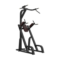 扬子(YANGZI)双杠提膝+引体向上YZ-TB80
