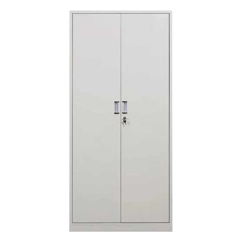 国景 两门更衣柜铁皮柜储物柜