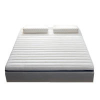 北极绒乳胶床垫加厚榻榻米垫子1.5米1.8米学生宿舍褥子垫被双人垫子