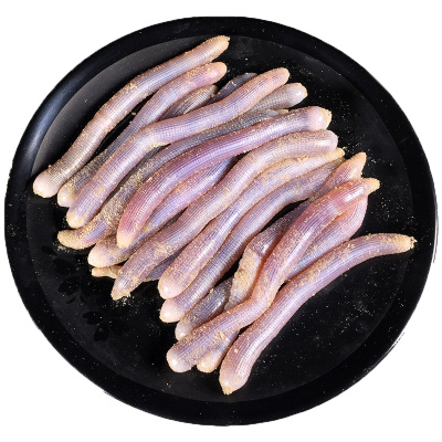 [四海生鲜] 东山岛新鲜沙虫海肠子沙肠子软体海洋虫 新鲜海鲜水产 250