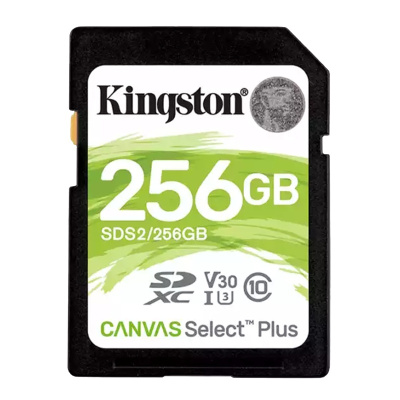 金士顿(Kingston)256GB 高速SD卡 读100MB/s CLASS 10相机内存卡存储卡 单反 微单闪存卡