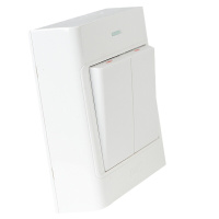 公牛(bull)G09K211Y双开开关 开关插座 单个装