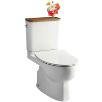 KOHLER科勒马桶瑞琦家用抽水分体五级旋风缓降盖板坐便器K-18643T