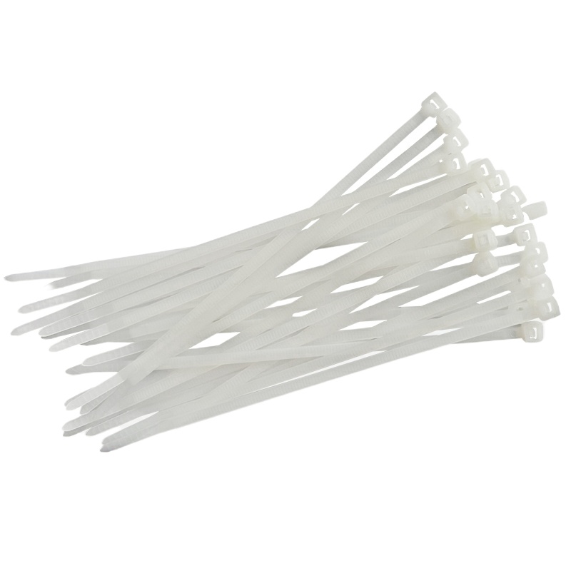 丽贴ZD5300尼龙扎带 2件装(单位:件)