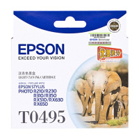 爱普生(EPSON)XSW T0495淡青色墨盒 适用R210/230/310/350/RX510/630/650