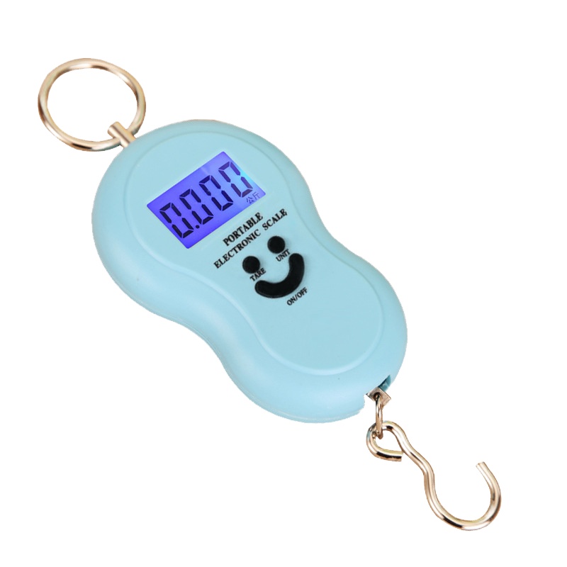 蜀天龙 手提电子秤弹簧家用小秤