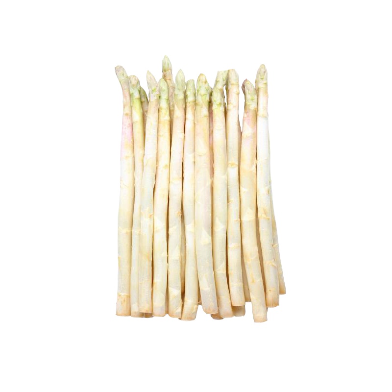 芦笋白芦笋农家现挖3斤