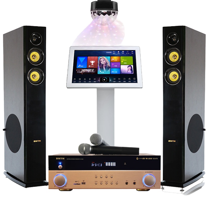 DTOTC 家庭点歌机ktv音响组合功放套装家用卡拉OK双系统一体机无线话筒2.0声道木箱影院838配纽约音箱