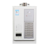 瑞美(Rheem)燃气热水器 即热速热式 恒温强排天然气 家用洗澡壁挂进口 浴缸室内型 16升放满即停 JSQ32-LX