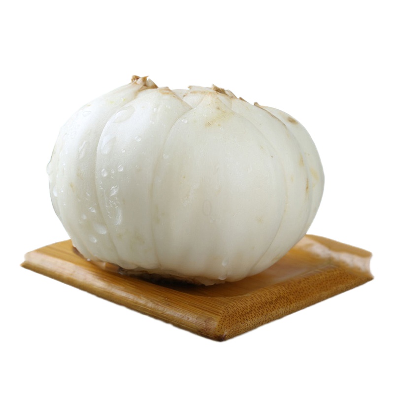 博多客 新鲜百合 食用甜百合 生鲜 500g