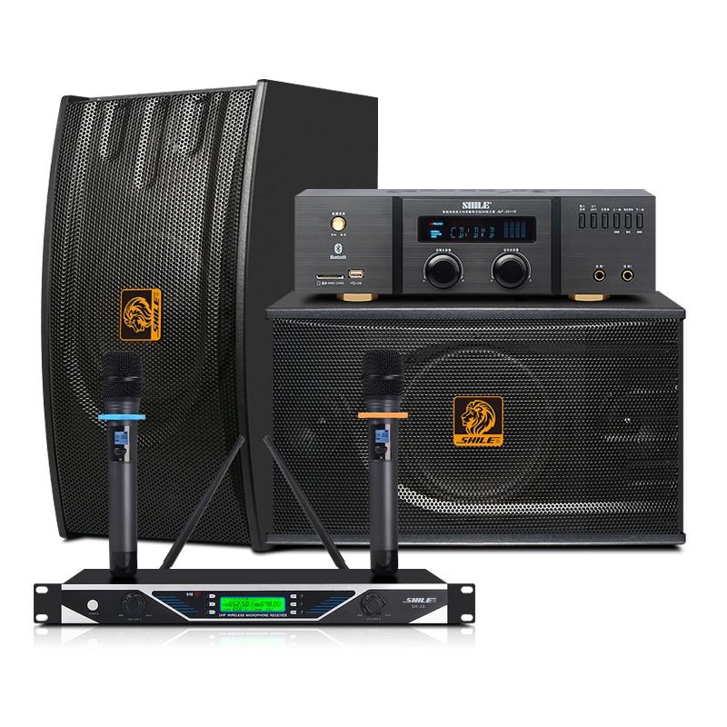 狮乐 2011B/118时尚磨砂黑家庭影院ktv音响家用专业卡拉OK音箱功放机组合会议套装 2011B+118+18