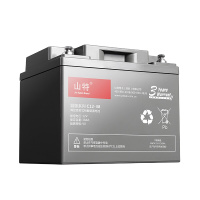 企购优品 山特(SANTAK)C12-38 山特UPS电源电池免维护铅酸蓄电池 12V38AH(含装入机箱+调试)
