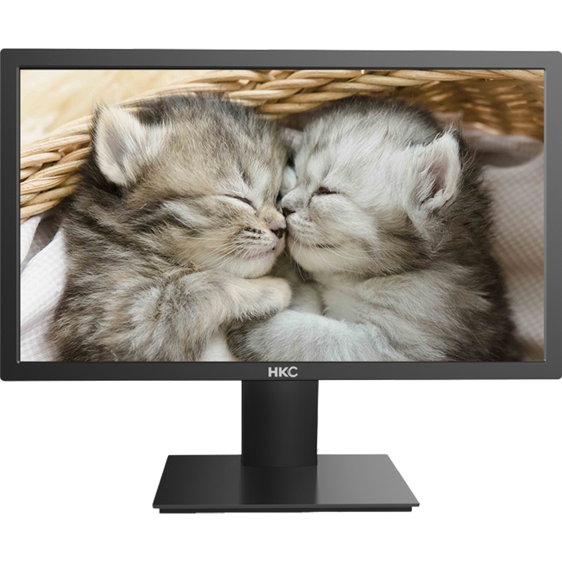 惠科HKC 19.5英寸LED背光不闪屏滤蓝光液晶电脑显示器 商务办公家用电脑显示器 新款 S201