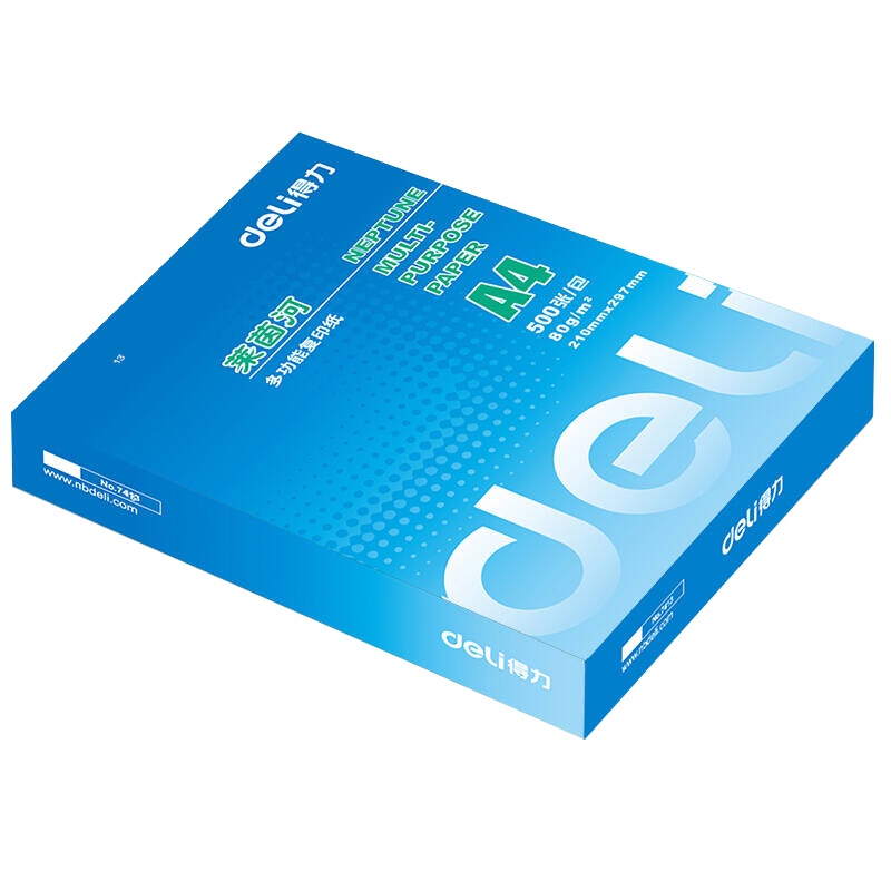 得力（deli）7419 莱茵河A4复印纸 80g打印复印纸A4纸白纸 办公用品5包1箱