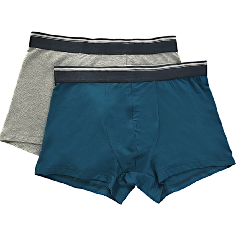 [专柜同款] 红豆居家(Hodohome)四季内裤男中腰莫代尔宽边腰型弹力舒适男士平角内裤两条装