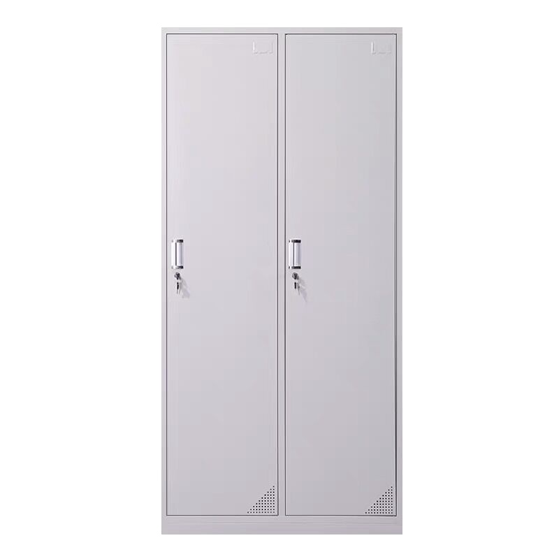 东业家具 JD-GT010 钢制二门更衣柜(加厚款)