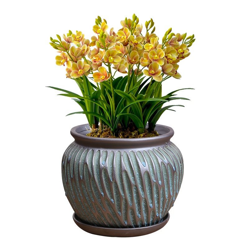 多肉花盆老桩特价清仓北欧简约大口径粗陶透气陶瓷肉肉植物大号盆