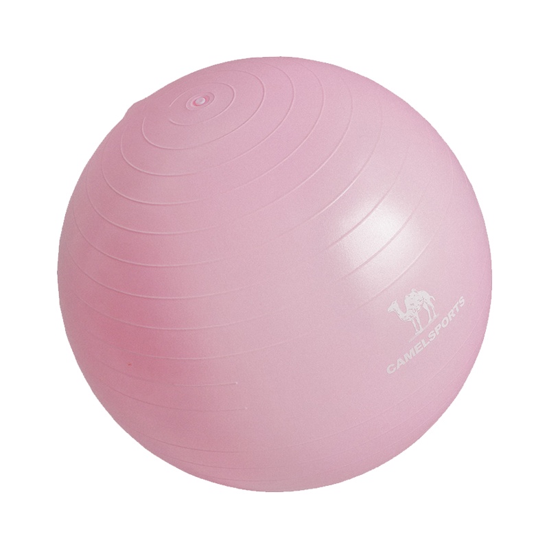 骆驼瑜伽球加厚防爆初学者健身球儿童球弹力运动瑜珈球