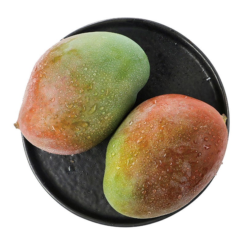 展卉四川攀枝花凯特芒果 净重2.5kg 单果400g 新鲜水果