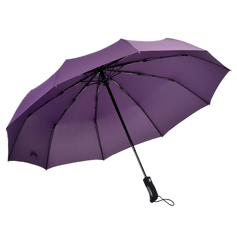 天堂伞全自动雨伞男女大号双人三折叠开收加固防风学生晴雨伞两用 紫色(十骨全自动)