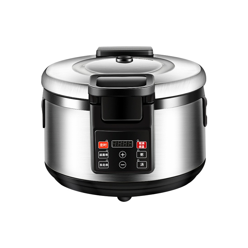 埃利斯(AILISI)大容量电饭锅食堂商用多功能电饭煲 超大型15-30人电饭煲 16L